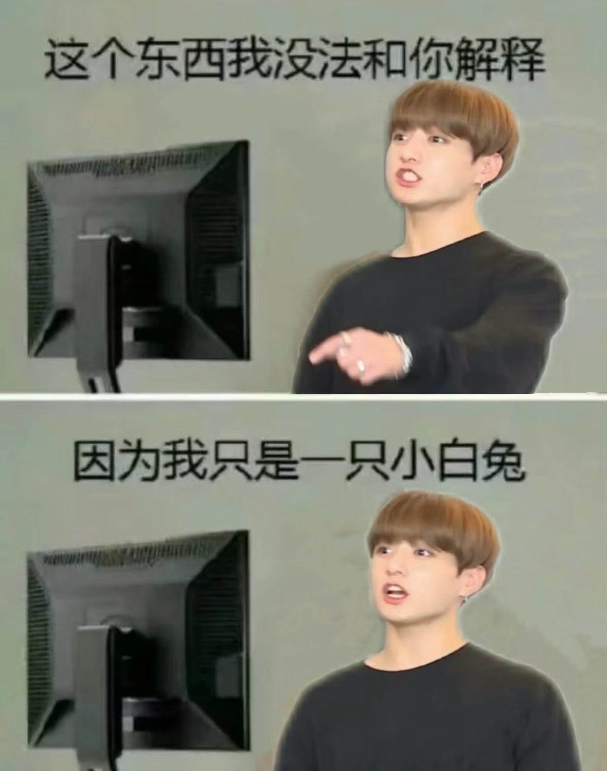 分享图片 