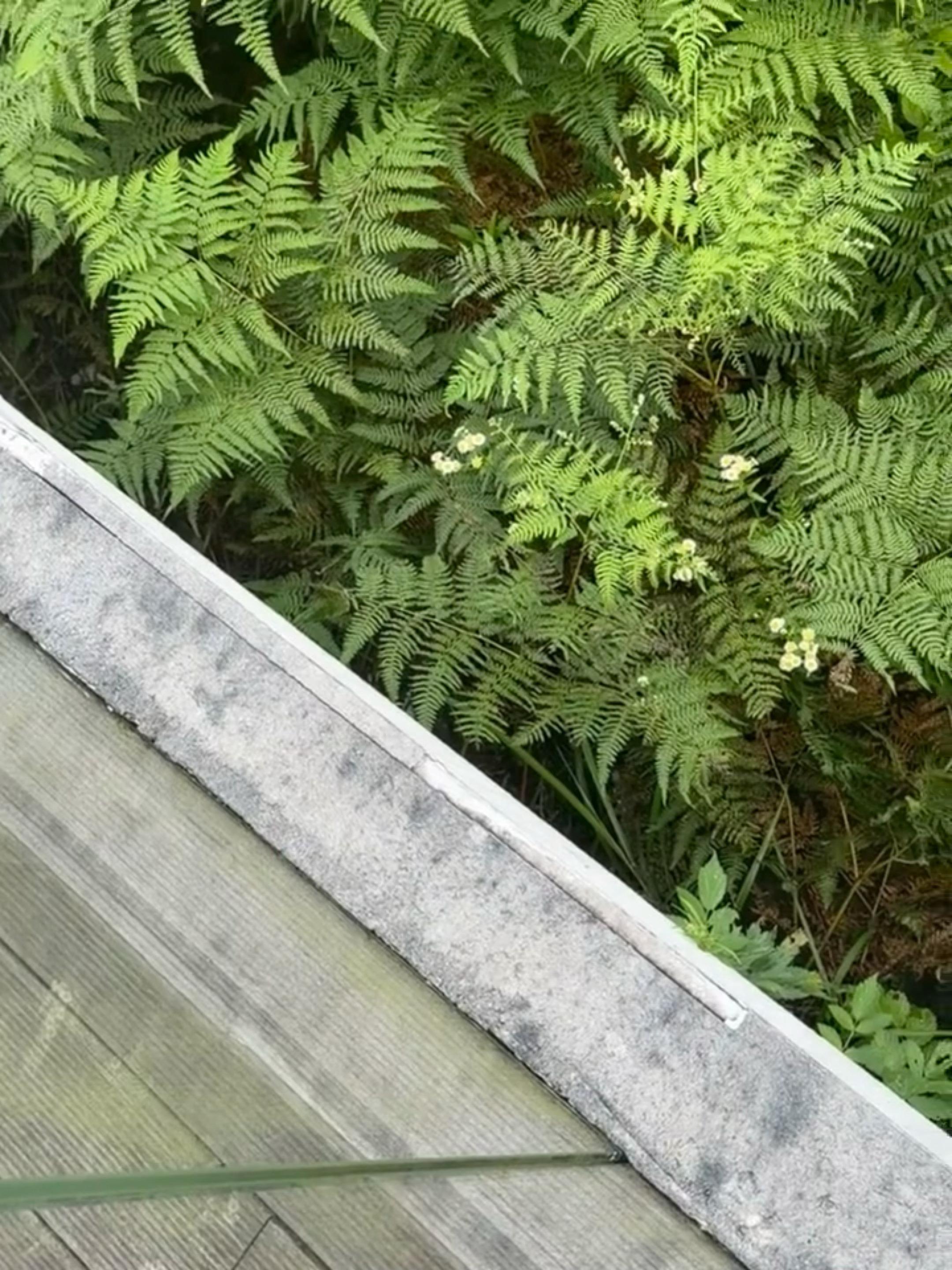 杨超越  宝宝🫘更新了日常 