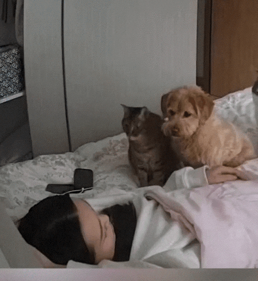 笑不活。一女子因感冒后全身无力，便请假没去上班，之后女子回家吃了点感冒药后便倒头