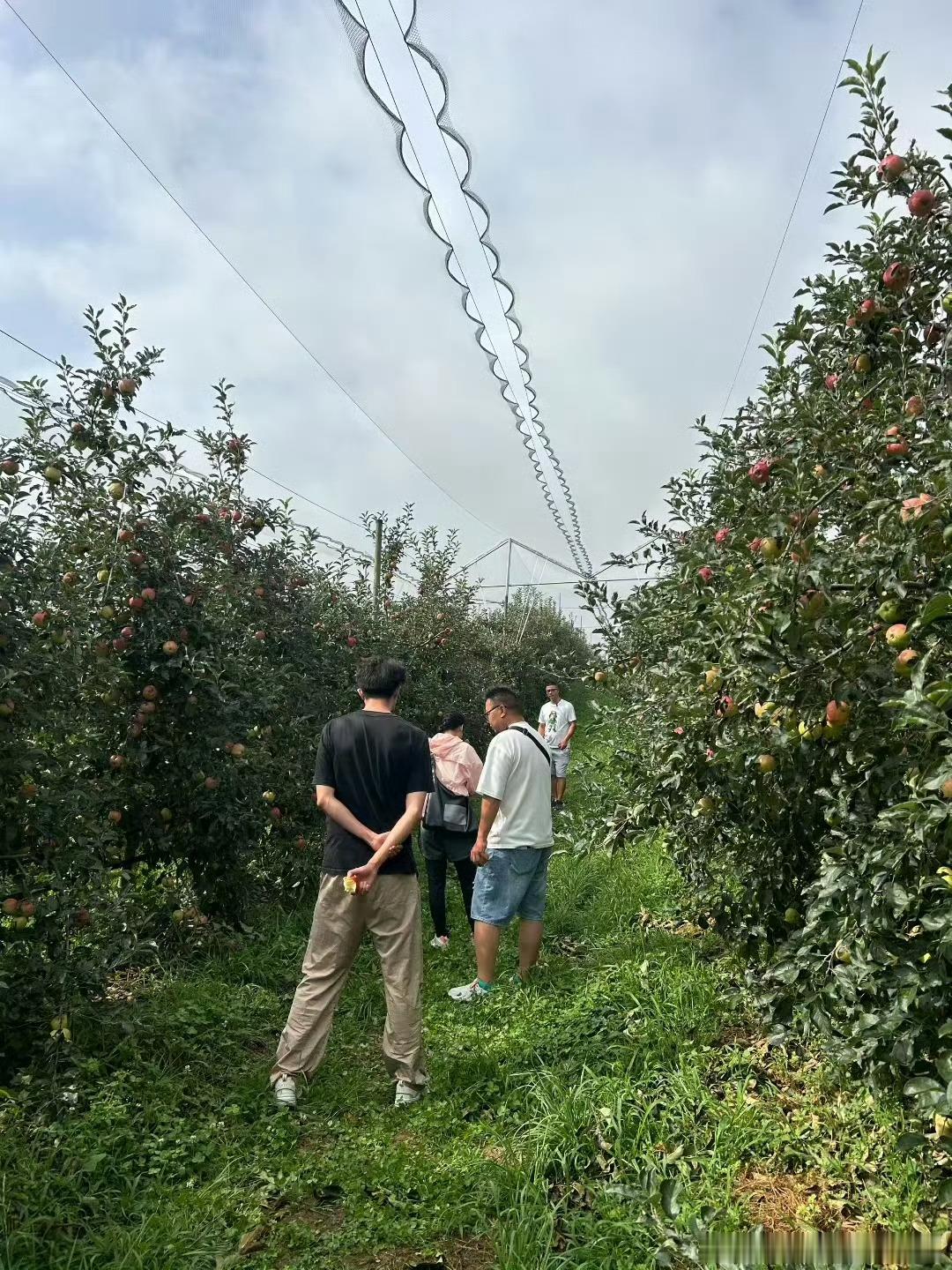 京东用三轮车把包裹运进大山看完云南阿瑾拾古艺这篇昭通返乡创业故事之后，确实很感慨
