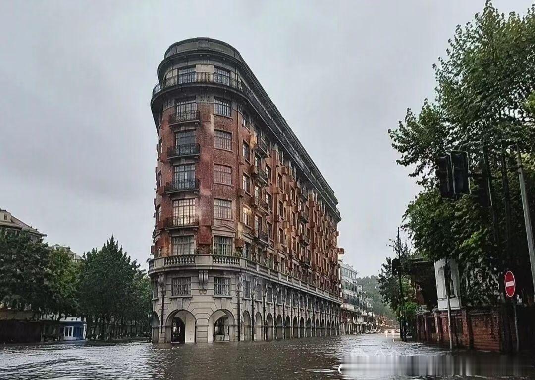 台风白海豚上海地铁 此次🌀上海暴雨封神画面 上海变海上 （源自） 