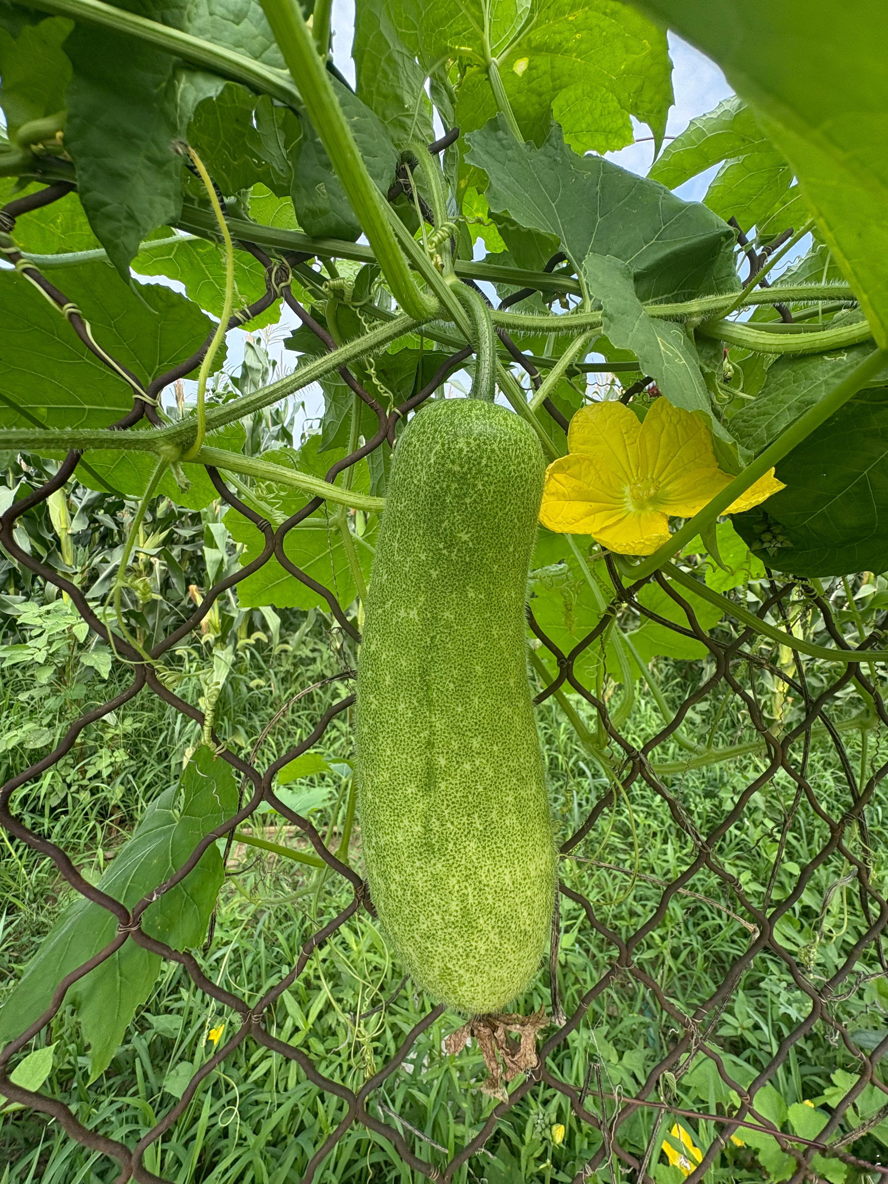 一张一弛谓之道 