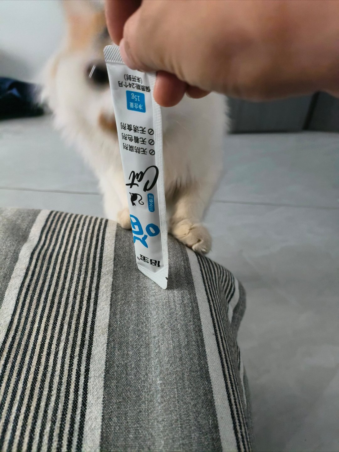 我怀疑它想挠我，我只是想逗逗它而已。好吧，以后不逗了，别挠我啊！猫 脚挠累了脸怎