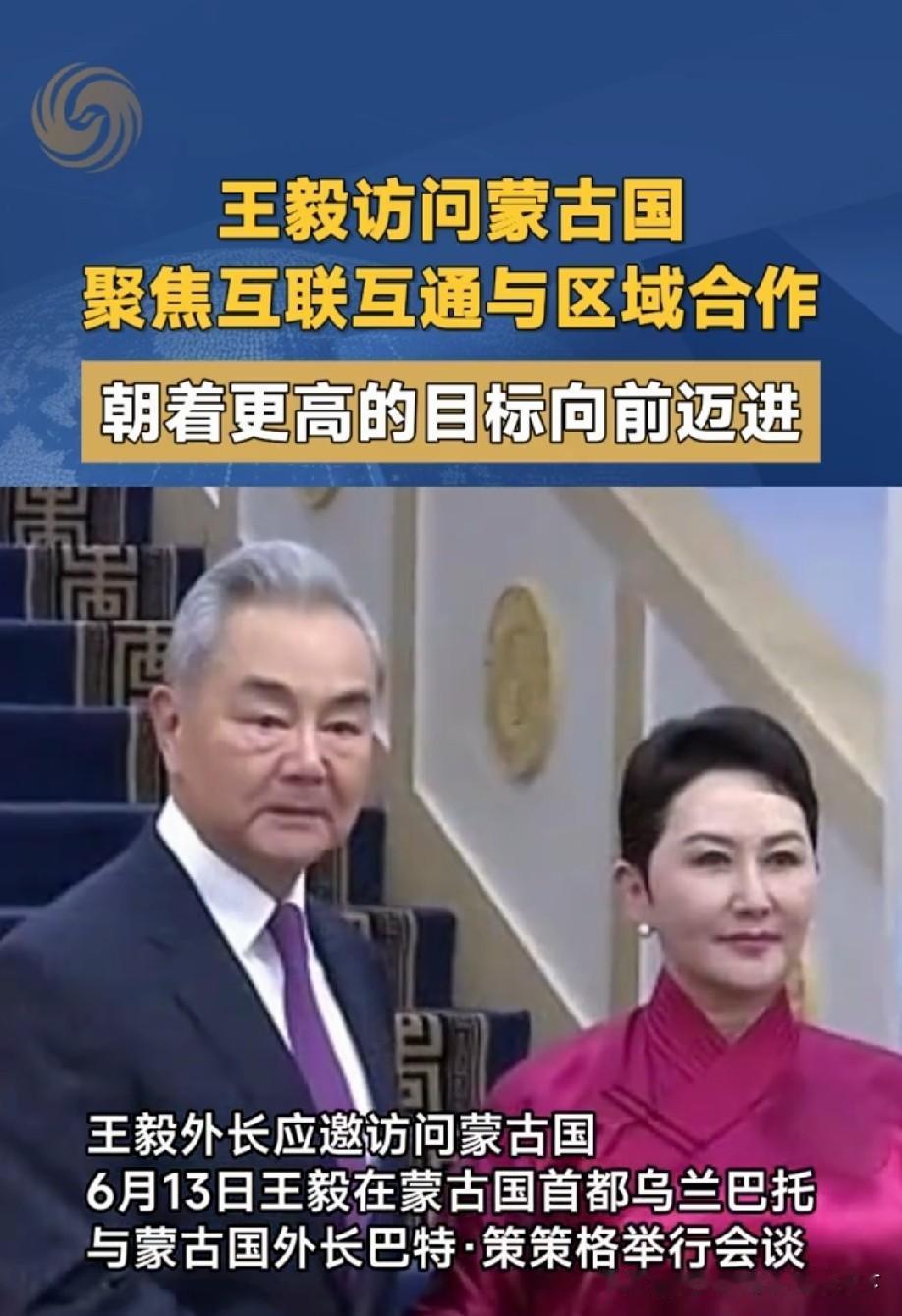中蒙贸易没什么问题！但借道卖稀土给其他第三国不行，这是底线原则问题，不能让！