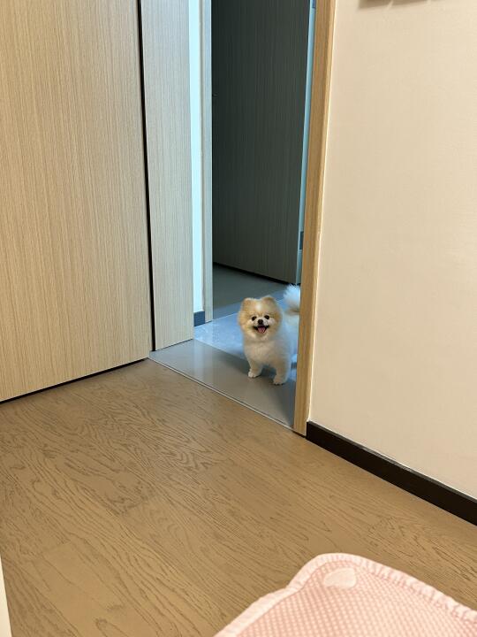 兔兔：我可以进去坐会吗