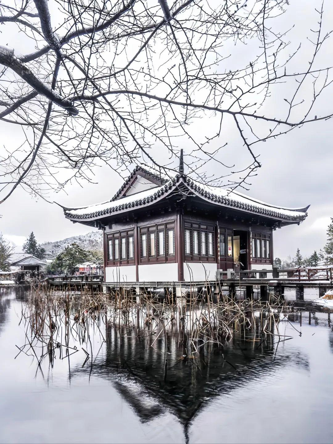 网师园的四季像一卷慢慢展开的诗：春有樱花映水阁，夏有绿树绕朱栏，秋有桂香漫幽径，