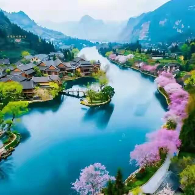 春天繁花盛开当然能让我喜乐！桃花粉艳如娇俏少女，带来欢喜；梨花素白似澄澈月光，给