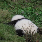 米牛牛侃军事
