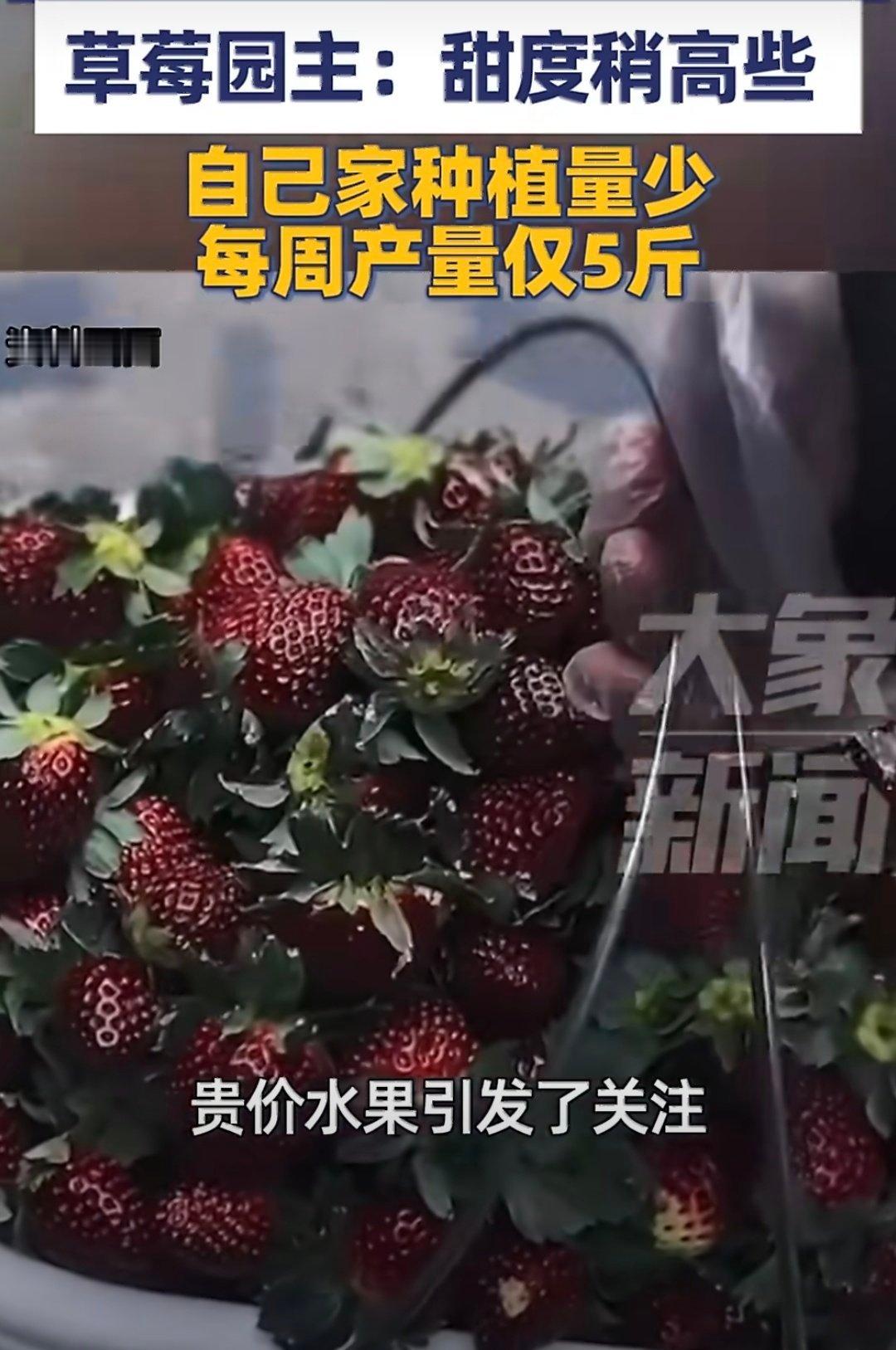 车厘子降价后黑草莓成水果新贵这个意思，是不论口感，越贵越买？？每斤上百元已是黑草