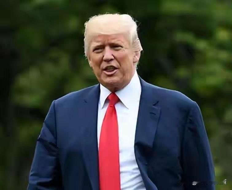 特朗普获全球最高授权！联合国重磅决议通过，和平理事会由他掌舵