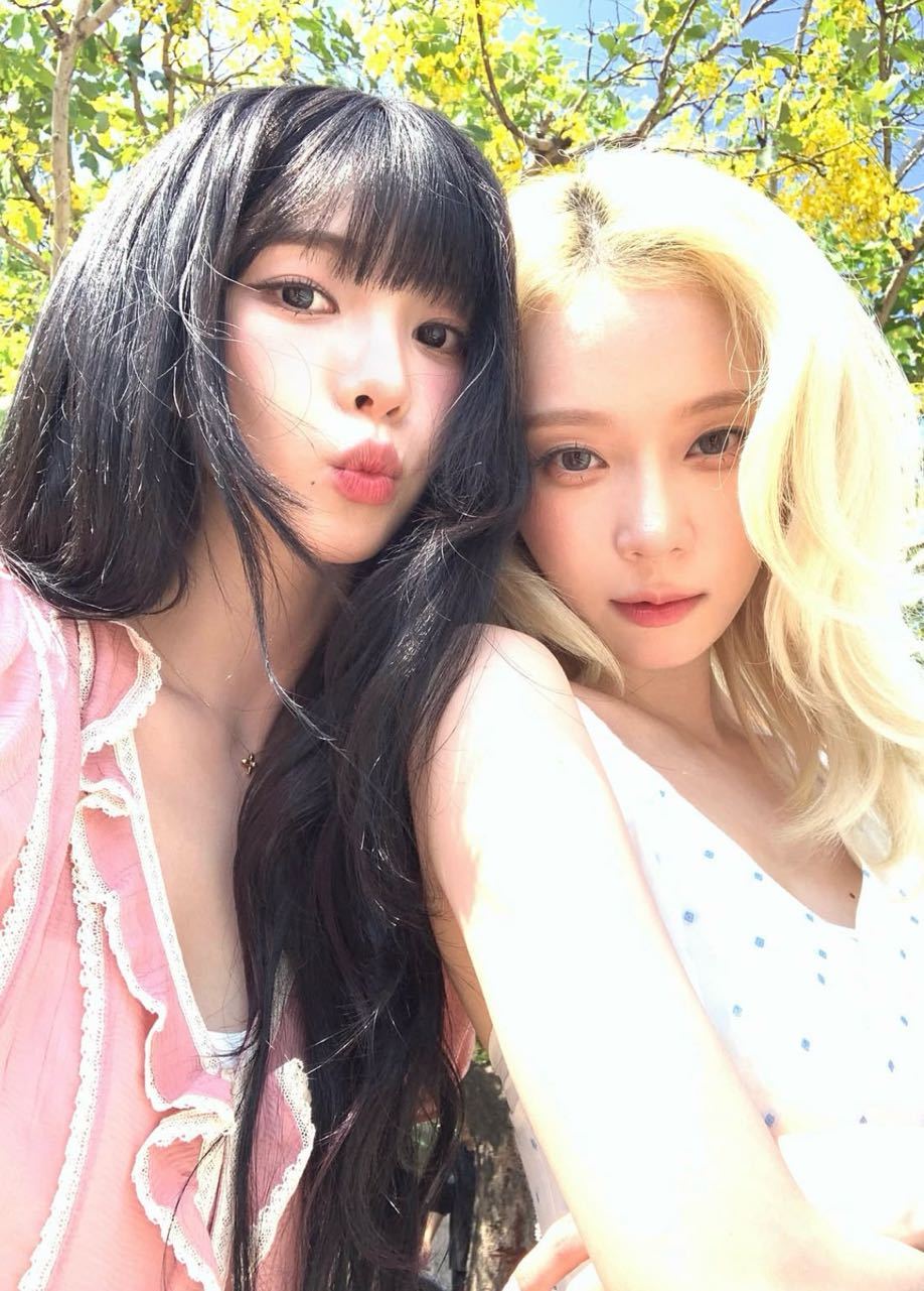 想求求类似的女豆合照，什么场景都可以 