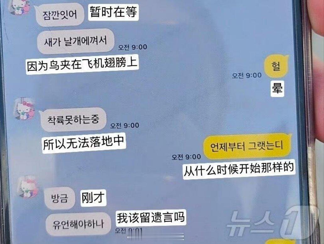 韩国客机着火事故的乘客短信，“鸟夹在了飞机翅膀上”，“我该留遗言吗”后失去联系…