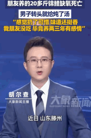 情分岂能用利弊衡量？据媒体5月8日报道，山东滕州男子养了两三年的贴身锦鲤意外缺氧