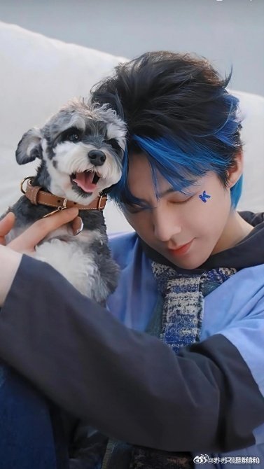 刘宇宁卖呆米衣服偷偷涨价 谁懂啊！刘宇宁卖呆米闲置还悄悄涨价，可爱到犯规，没有明