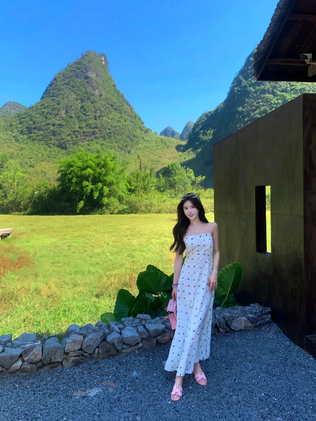 爱自由的灵魂和向上的生命力