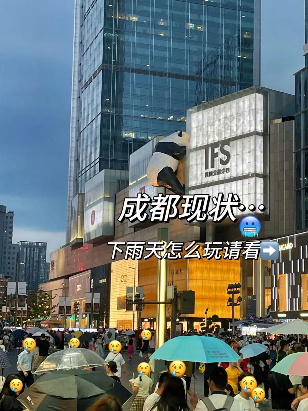下雨天在成都应该怎么玩（熬夜总结版）最