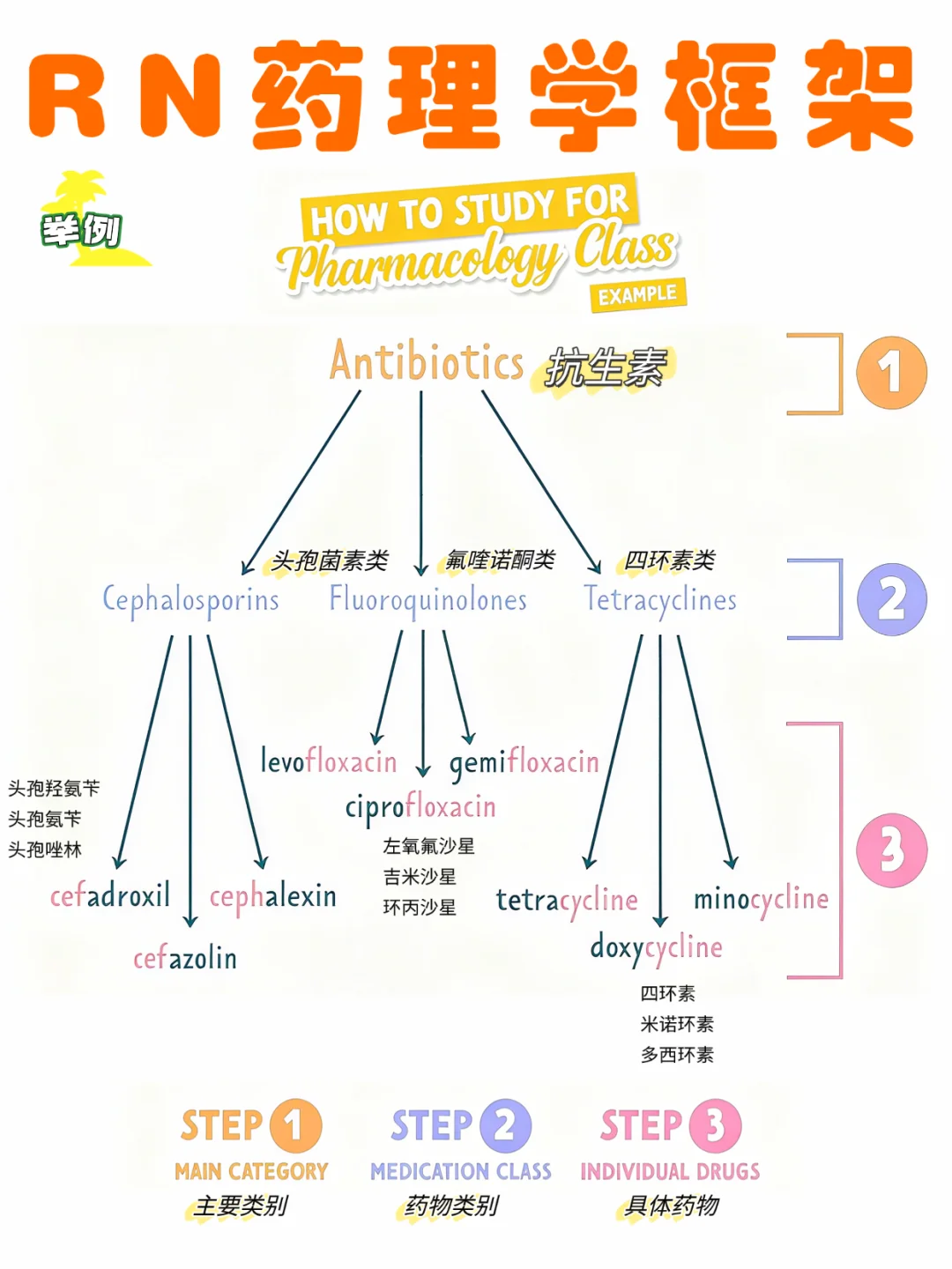 备考RN/药理学框架！！学！！内容
