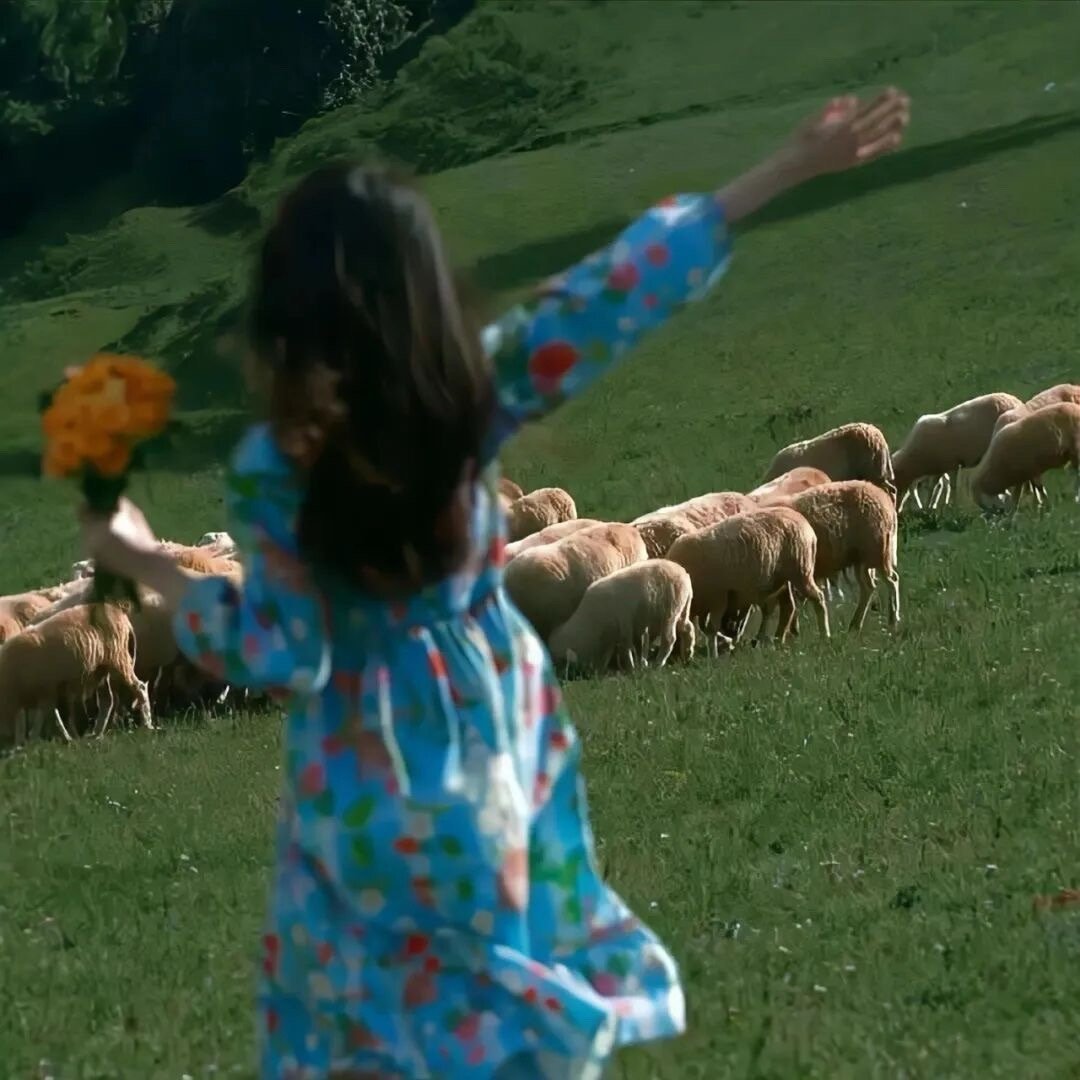  ✨𝕊𝕥𝕒𝕪˖✧做独自撑伞的成年人，一直往前走，别回头。 