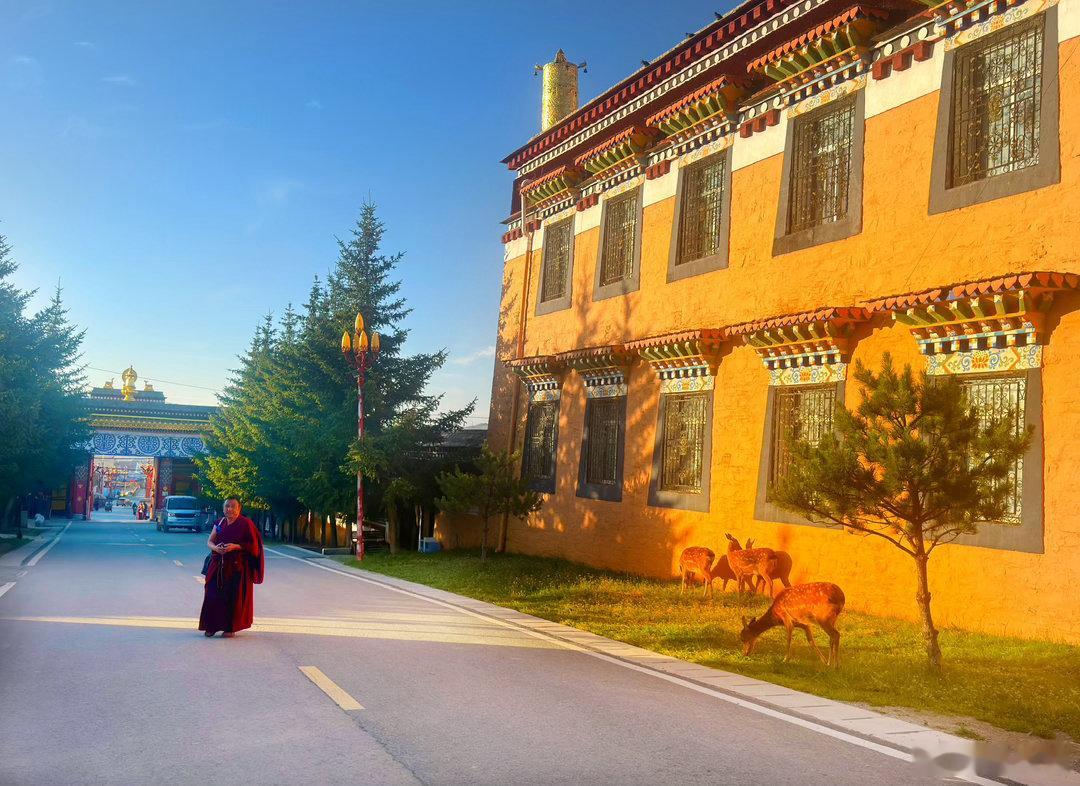 ཚེ་འདི་དང་ཕྱི་མར་འབྲས་བུ་བཟང་པོ་ཞིག་ཐོབ་