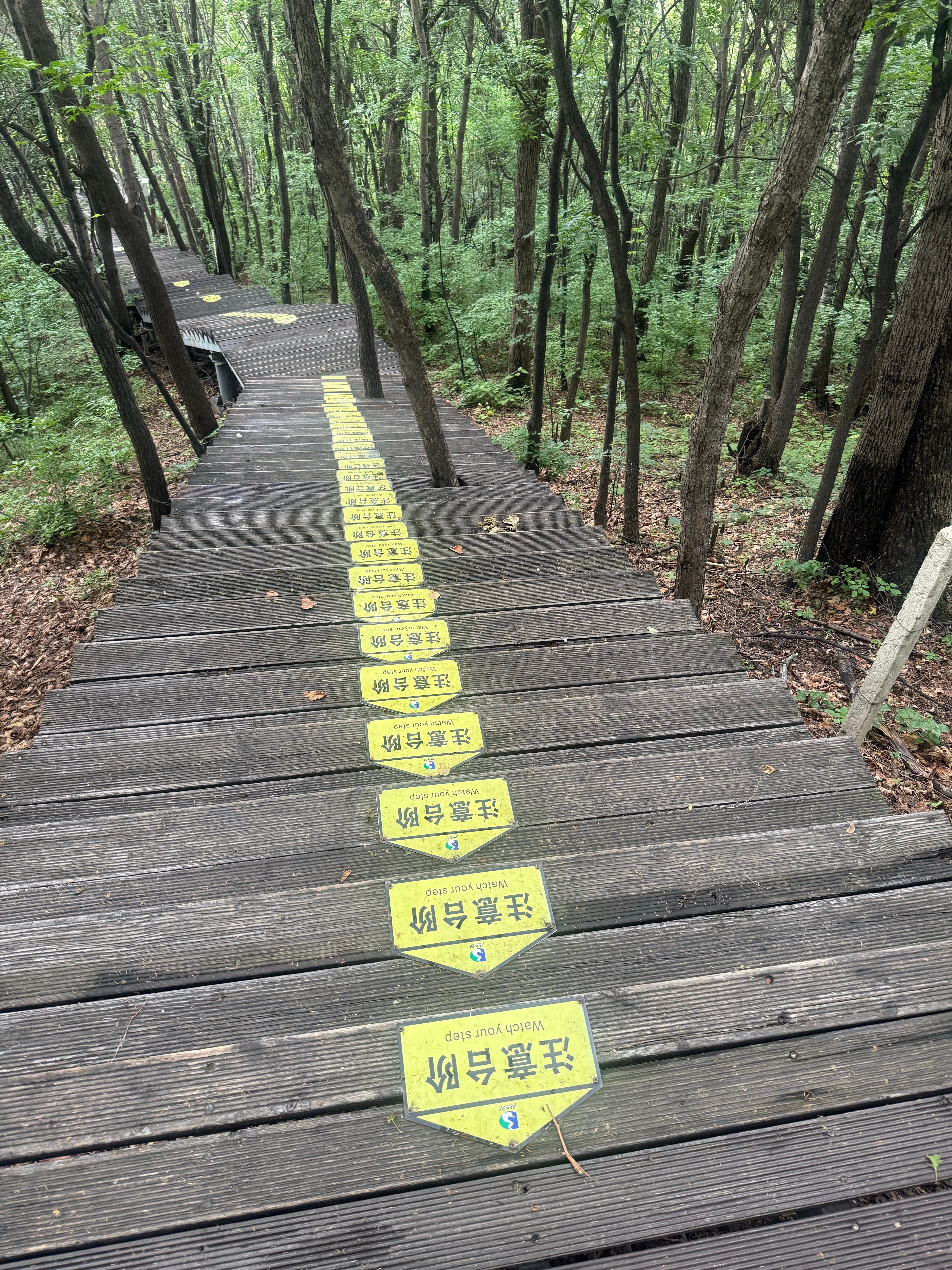 走栈道的时候看到这么多提示想到那句：过度提醒就是提前责备本来木栈道不滑，贴这个提