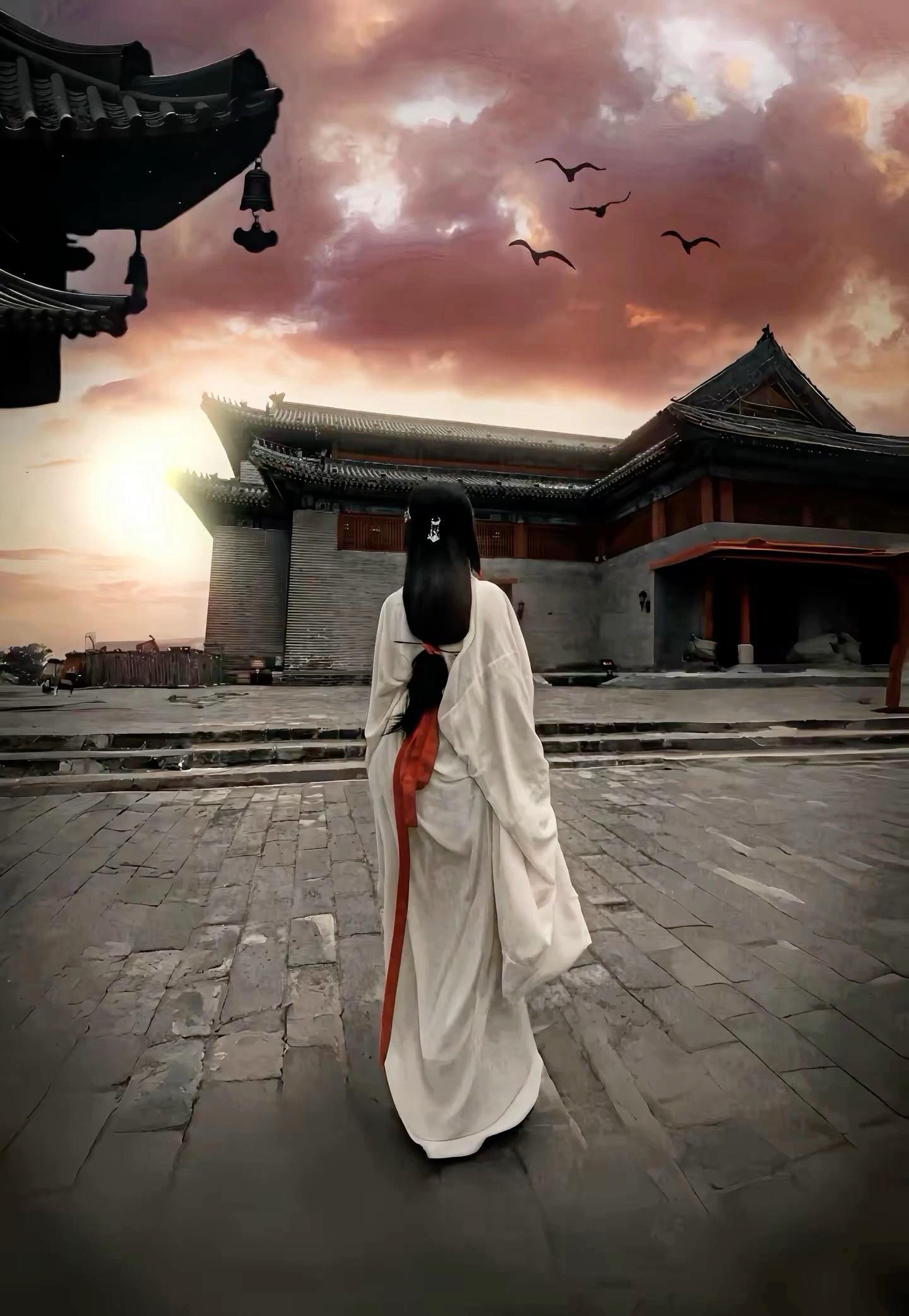 爱随风起张芸京