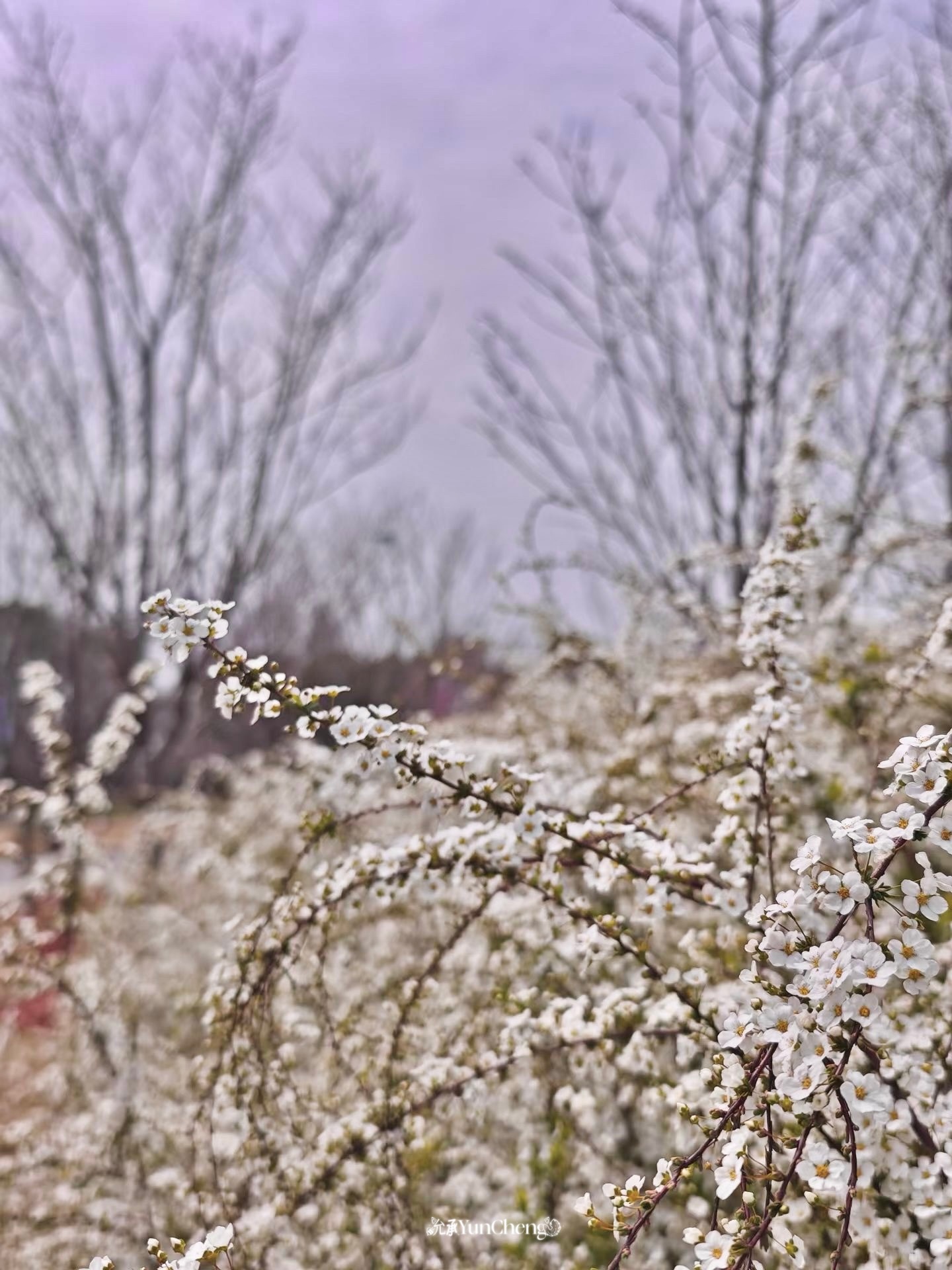 长期精神紧绷、胡思乱想、过度焦虑，也是用脑不卫生。学会断舍离杂念，给大脑减负。注