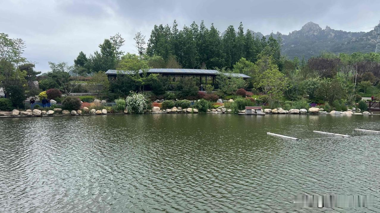 青岛浮山森林公园，北侧三号门文翠湖，探幽谷，二号门桃花坞景区，环境静谧，湖水清澈