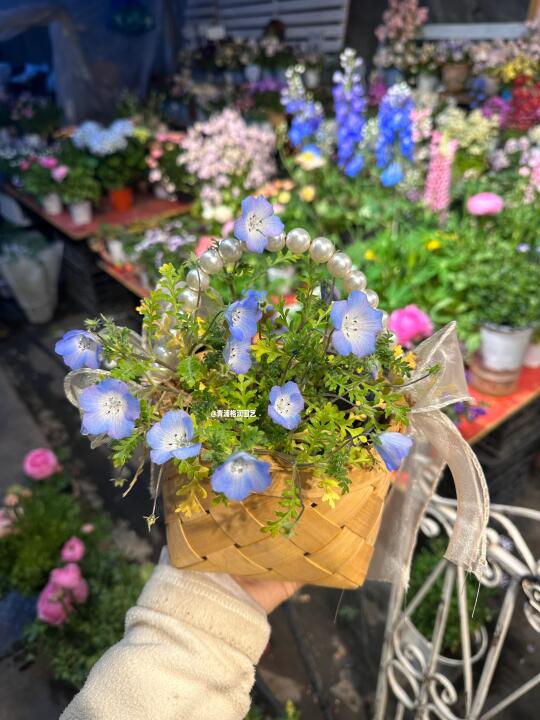 蓝色小发发🌸