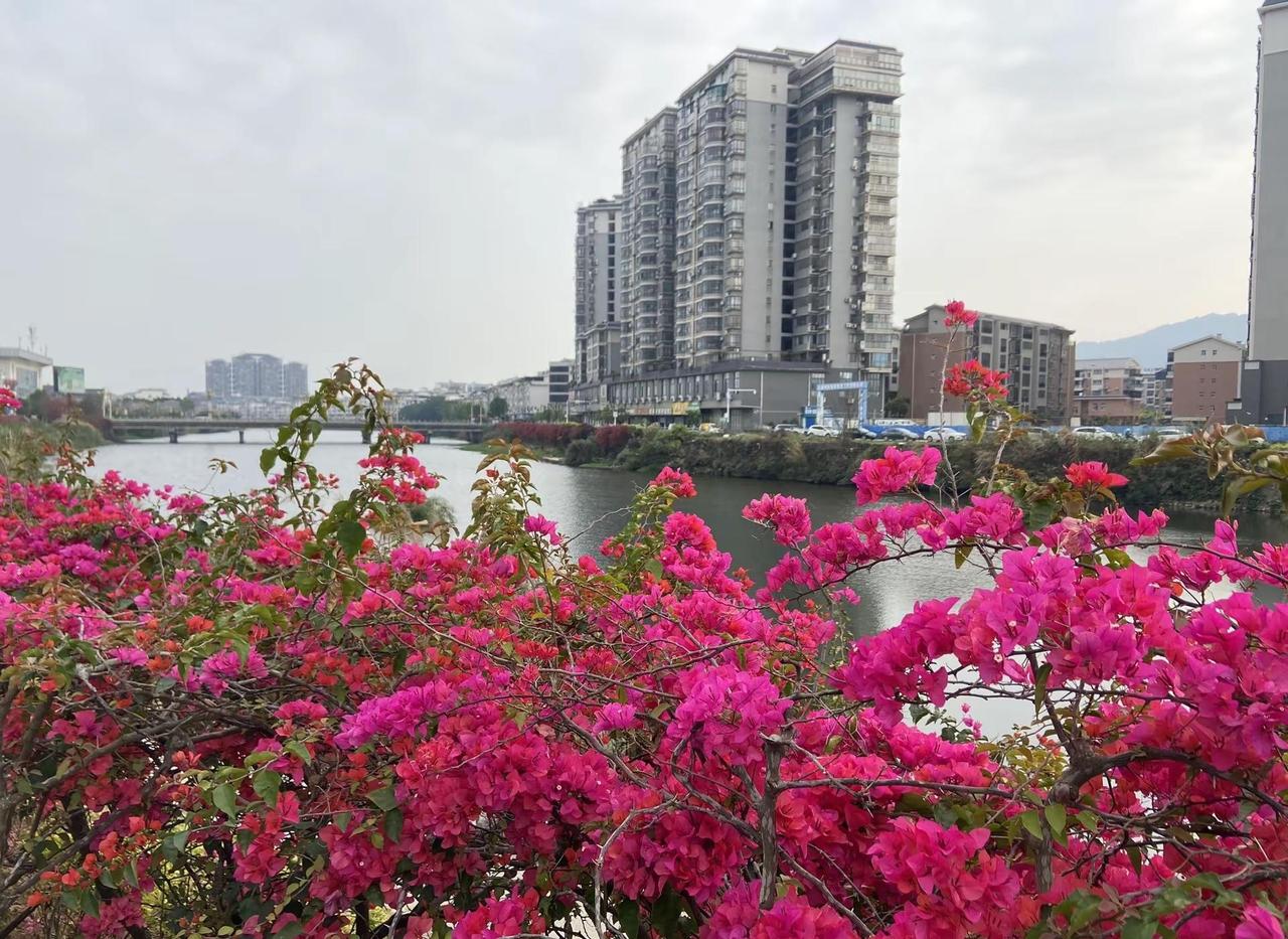 不追求快乐，只愿心中片刻宁静。随拍空间美学