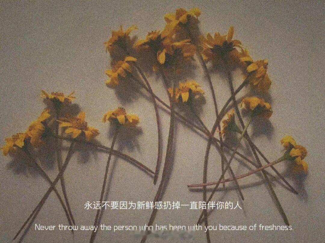 #阳光信用 每日一善#这个世界，什么都能够安排，唯独你的心。这个世界失去谁都不可