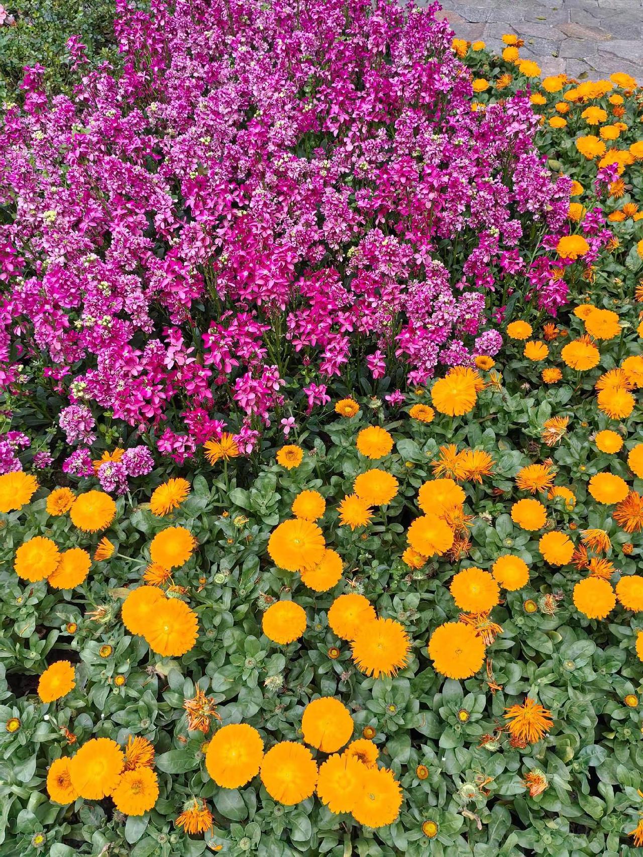 祝美女们女神节快乐也祝自己女神节快乐