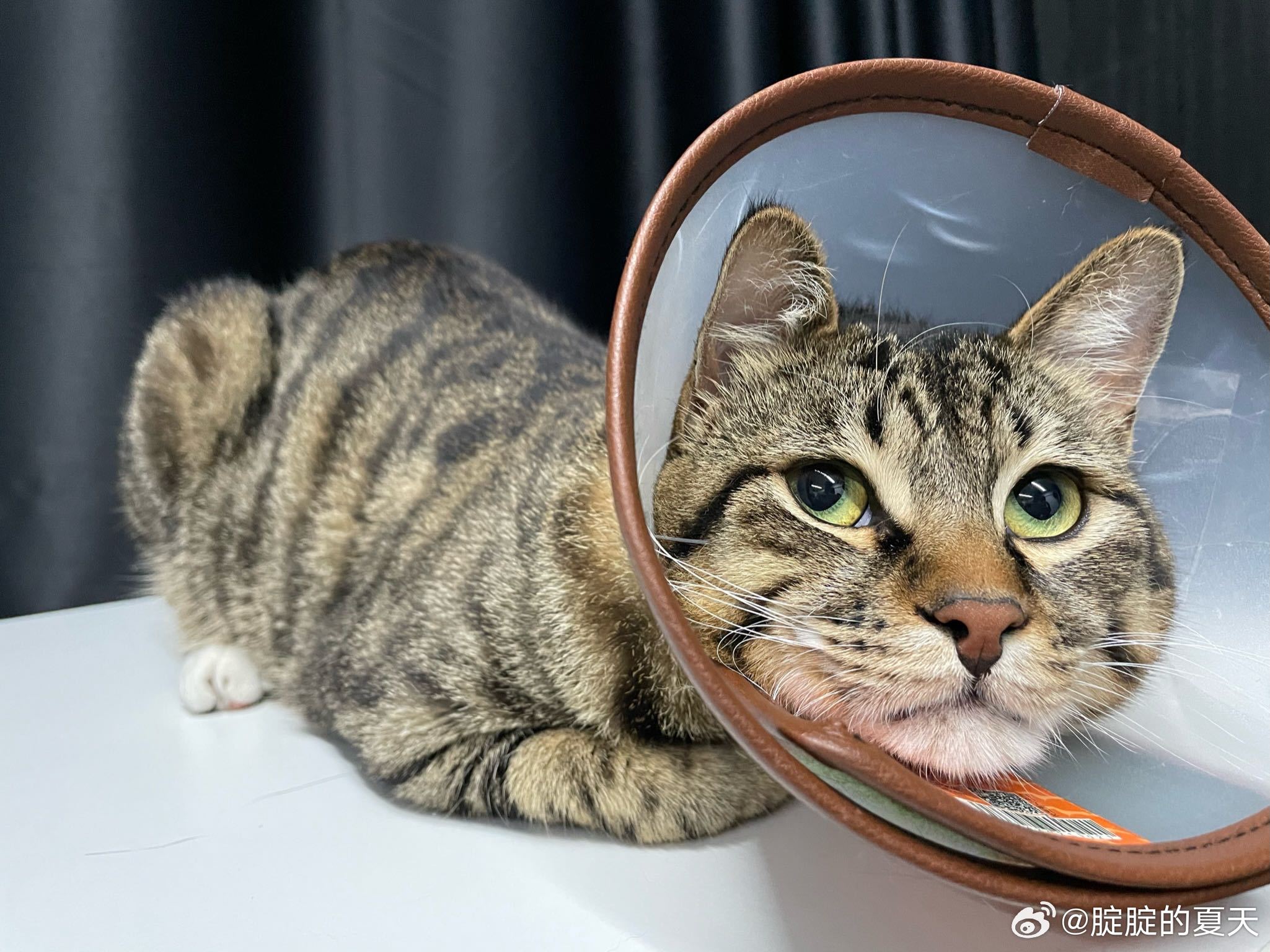 上次写PPE貌似还是三四年前了，现在都能开PPE了。 