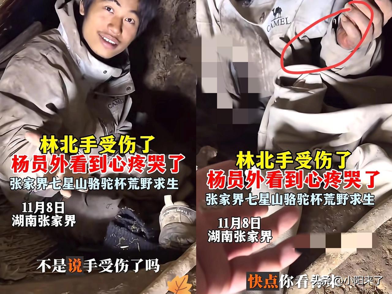 林北现在“骑虎难下了”！
户外生存赛的热血滤镜碎了！林北早已是身心俱疲的“困兽”