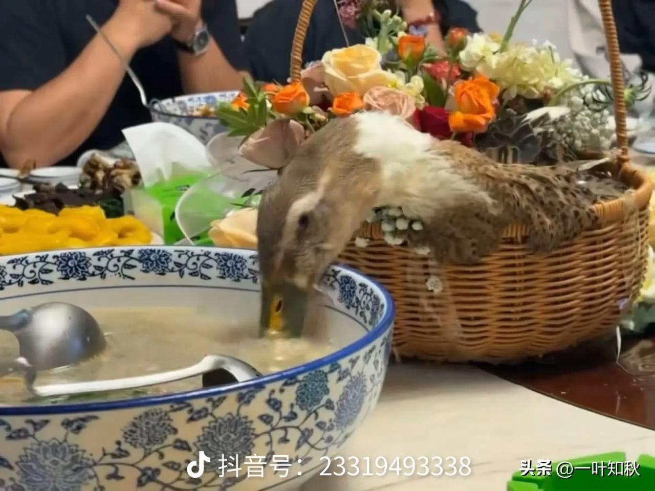鸭子是正经鸭子，其他用餐人正不正经就不知道了。[摊手][摊手]