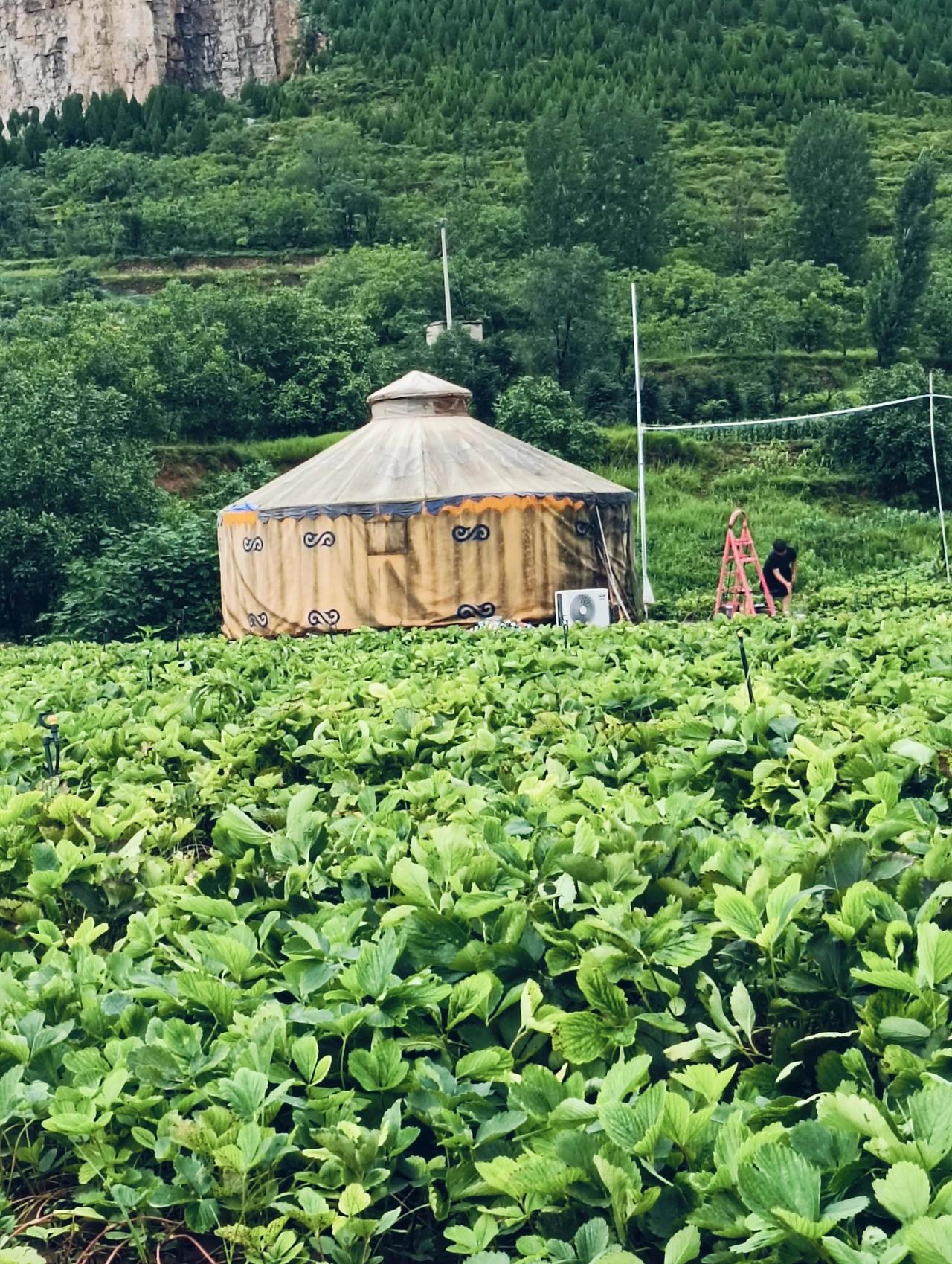 山山水水育好苗