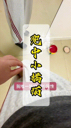 刷到这段视频，看完心里满是柔软。博主打趣说，自己日常能随时约到的异性，只有揣在裤