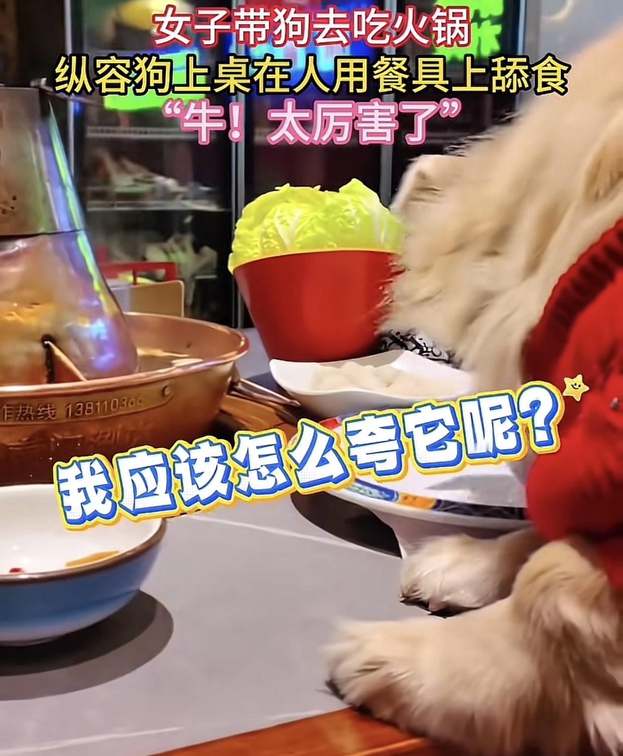 现在有些养宠物的人真的一点边界感都没有。
刷到一条视频，视频中一女子带宠物狗吃火