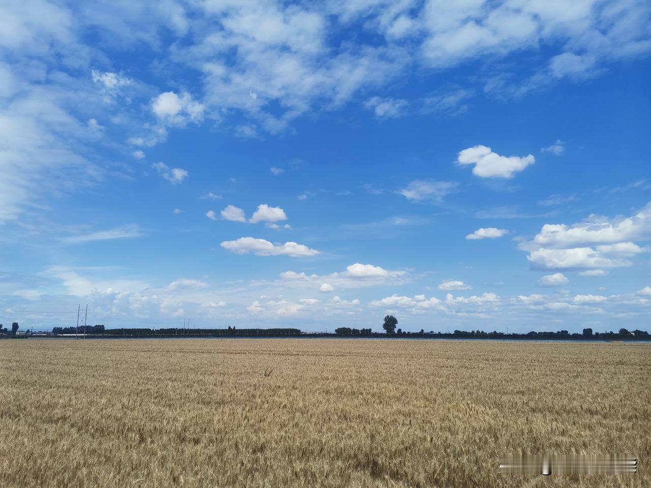 正月廿五是北方的填仓节，听家母说过，她小时候姥姥在这一天，天还没亮就起床，在院子