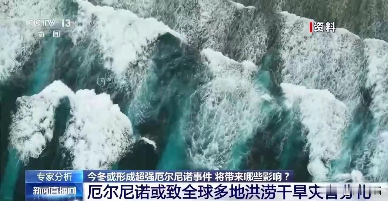 英国人开始囤罐头了。不是末日电影预告，是环境大臣安吉拉·伊格尔亲口说的——"全球