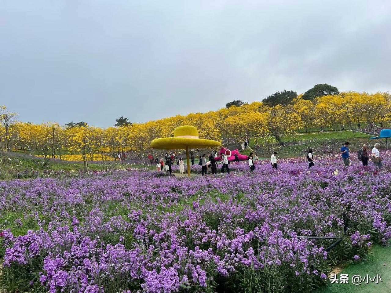 有一个亲戚，住院了，打了一个星期的针，每天发朋友圈，一个亲人不给他点赞，也不问怎