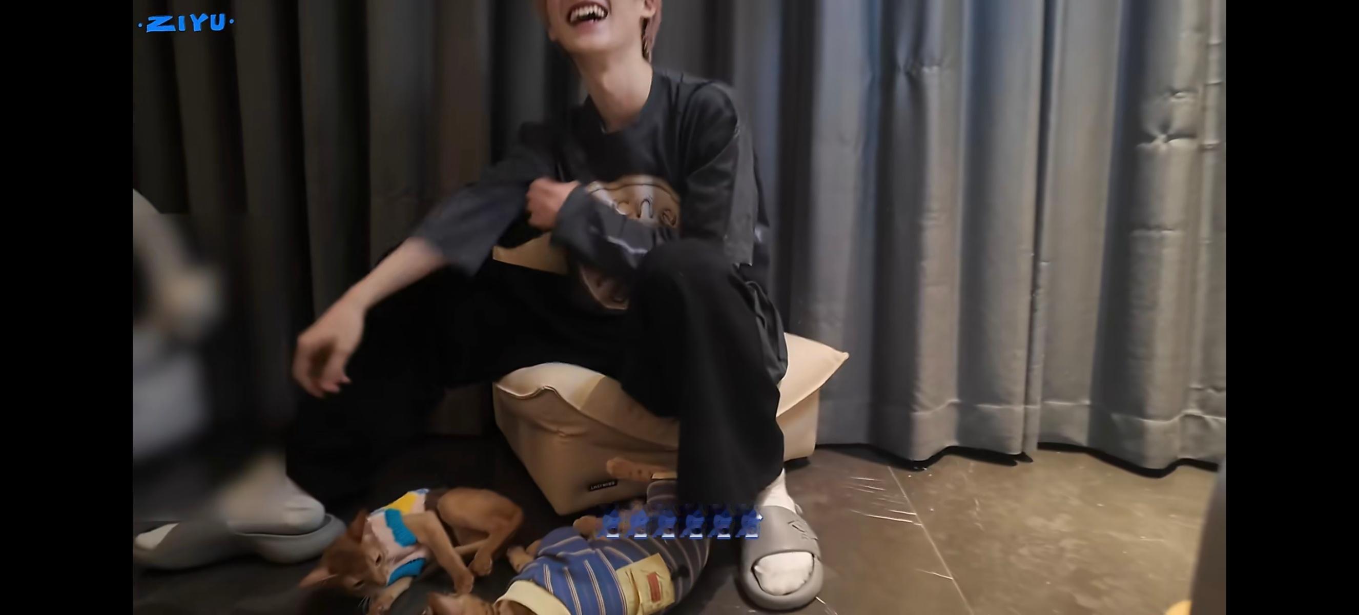 你知道这个画面有多好笑吗 