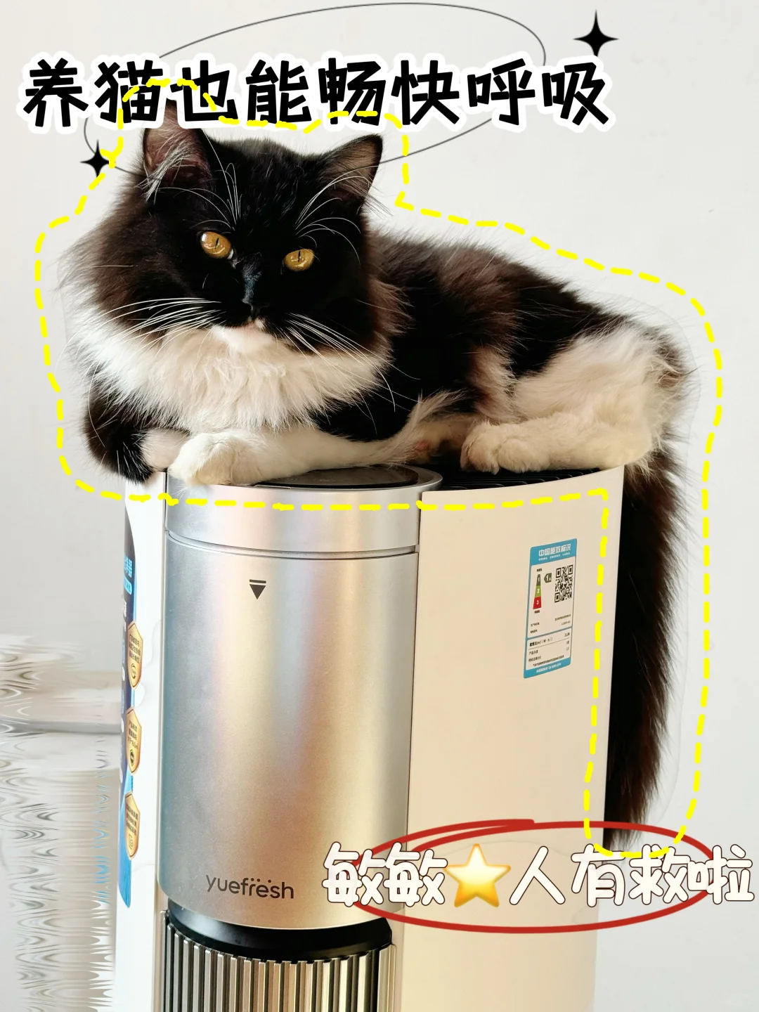 我差点再也不能吸猫了！！