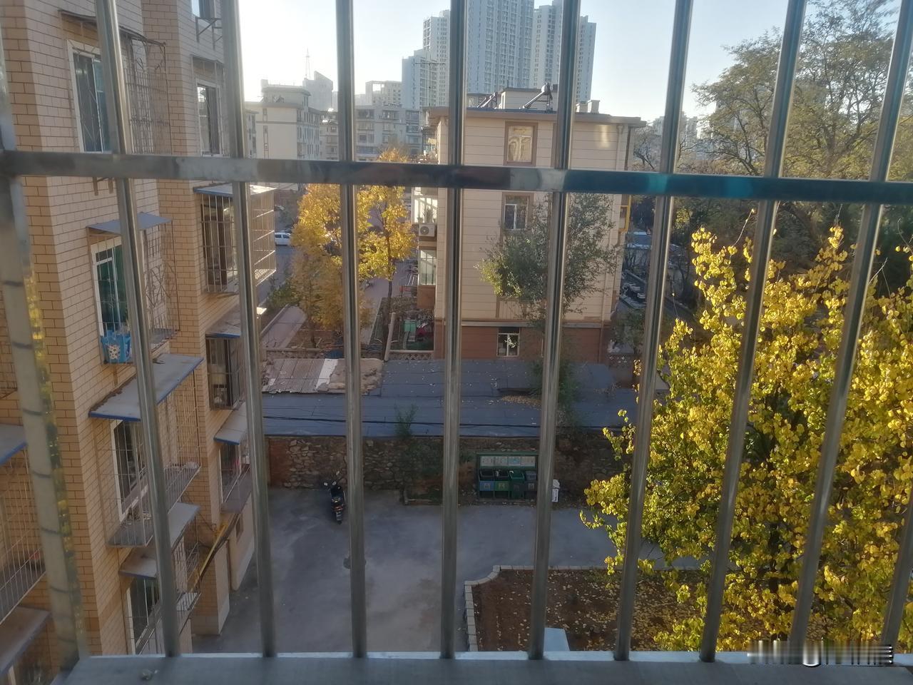 窗外!
秋意随着气温的降低而改变了颜色不是每个地区都能看到。
在大连的供暖季时，