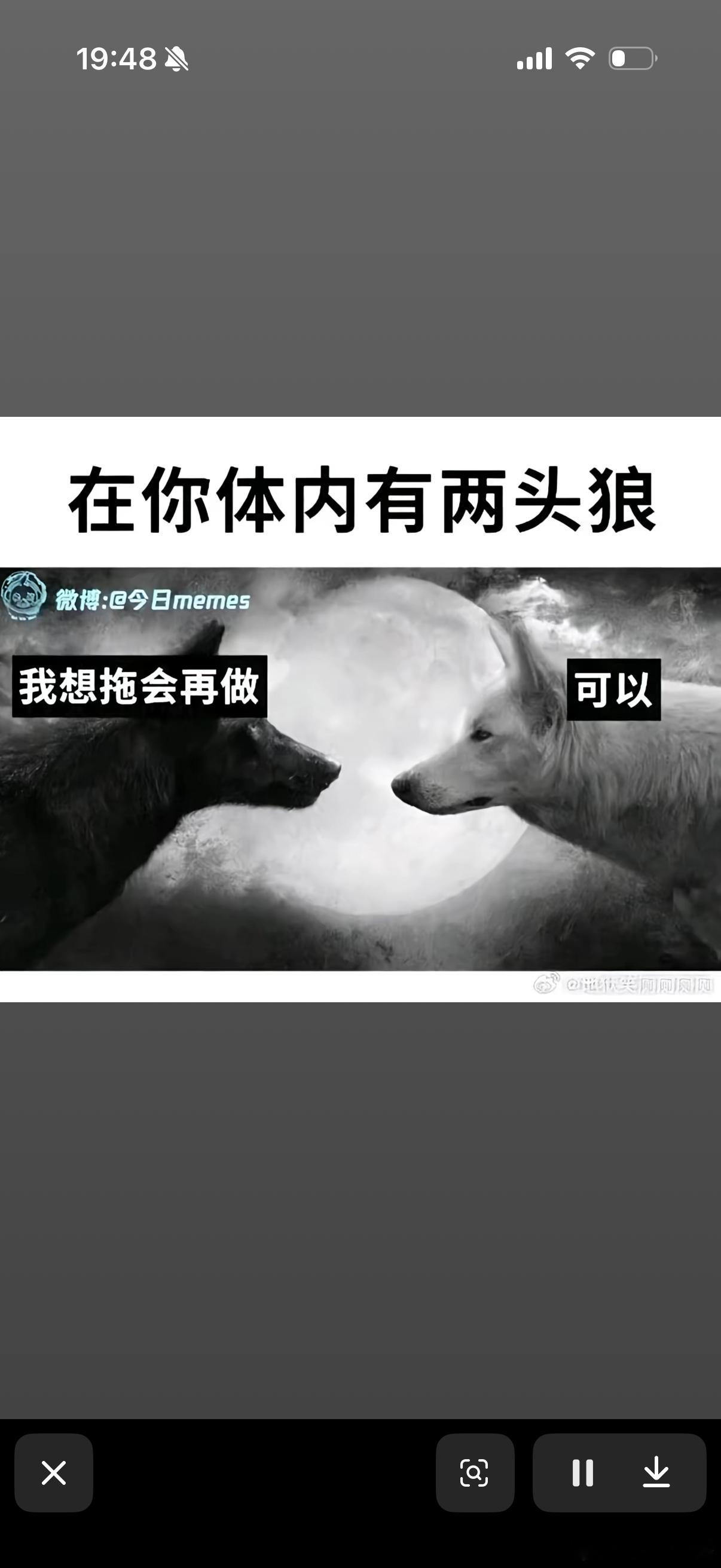 可以可以 