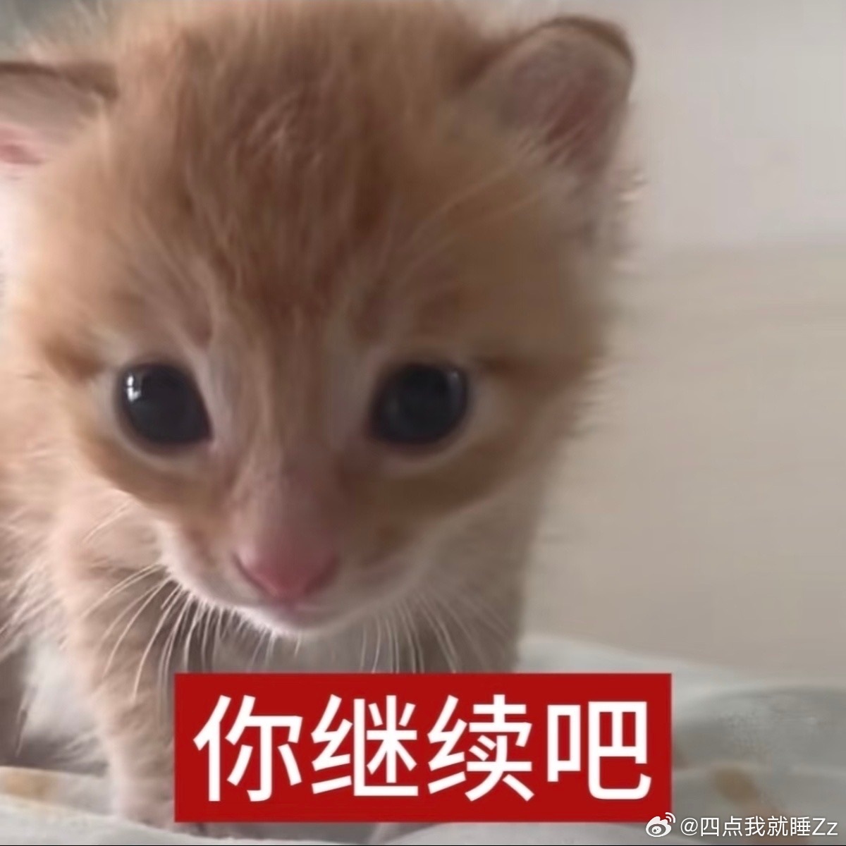 我等的一点也不苦一点也不累 