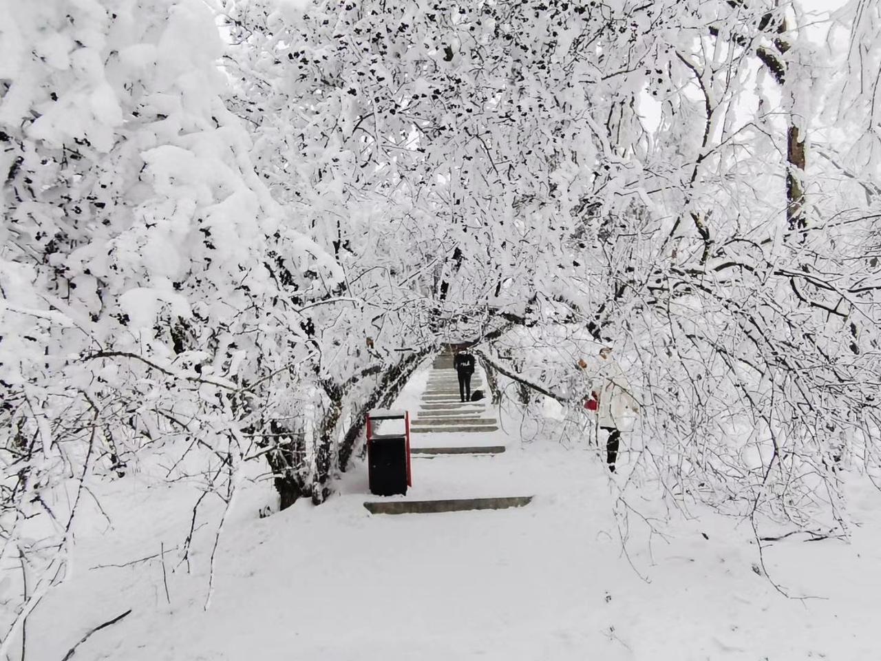 汉中龙头山景区