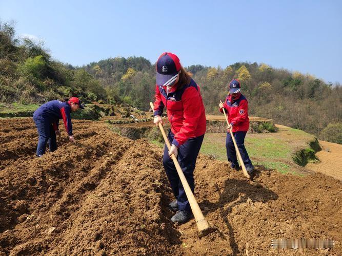 【相见欢】开春

桃腮风拂绯红，
柳眉绒。
万水千山披彩美无穷。

雪融化，
雷