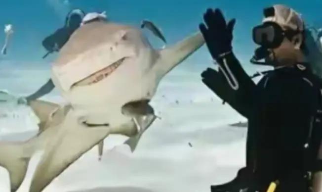 1996年，一位意大利女潜水员在巴哈马海底，帮一条大鲨鱼拔掉嘴里的钢钩，正准备离