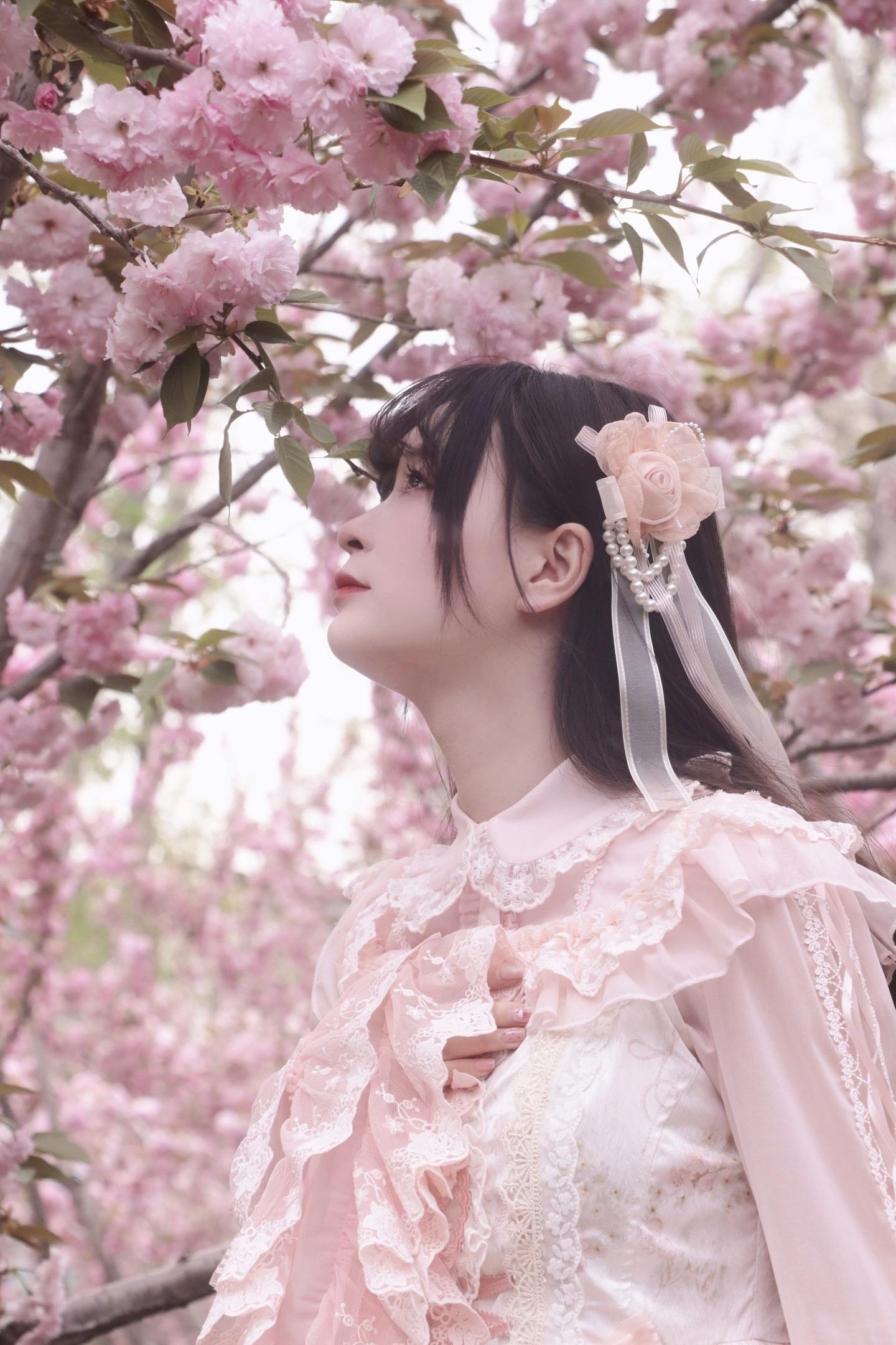 🌸˚ꕤ 樱花树下的约定⁎⊹⁺
