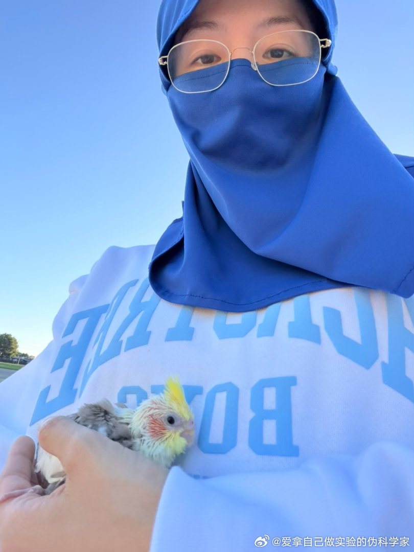 出门遛鸟晒太阳遇到一只站在电线上的蜂鸟 